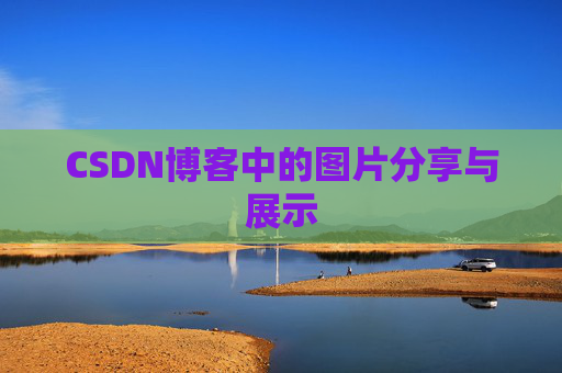 CSDN博客中的图片分享与展示